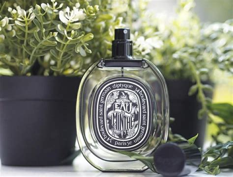 diptyque eau de minthe dupe